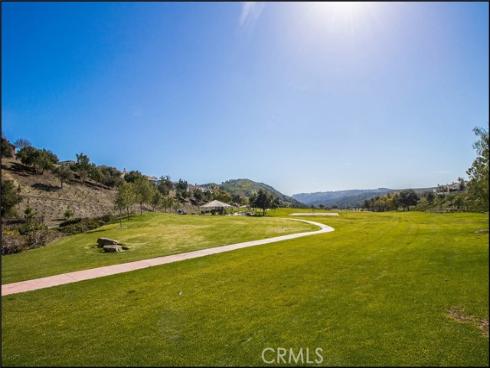 36 Baneberry , Aliso Viejo, CA