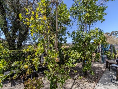 6415 E Stonebridge , Anaheim Hills, CA