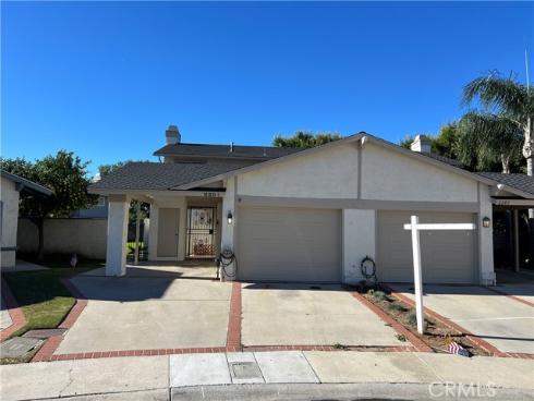2304 Carrotwood