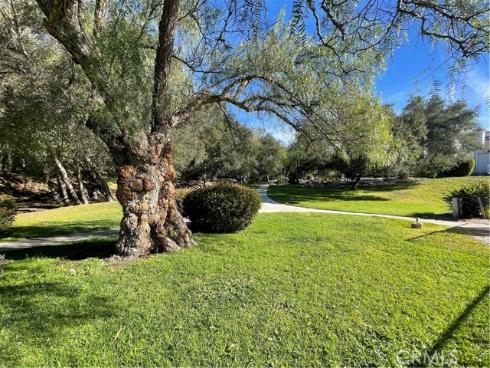 31601 Via Conejo , Coto de Caza, CA