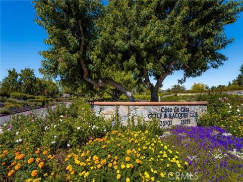 36 Brassie Lane, Coto de Caza, CA
