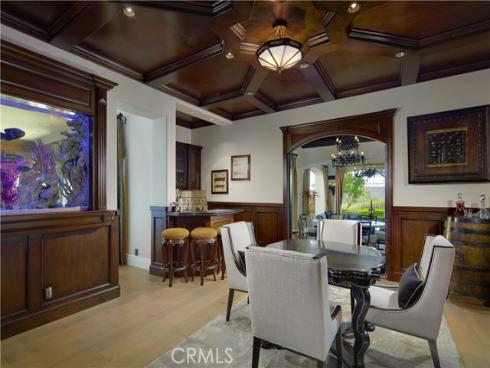 17 Long View Road, Coto de Caza, CA