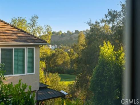 6 Coffeeberry Court, Coto de Caza, CA