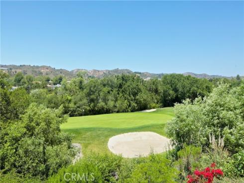 6 Coffeeberry Court, Coto de Caza, CA