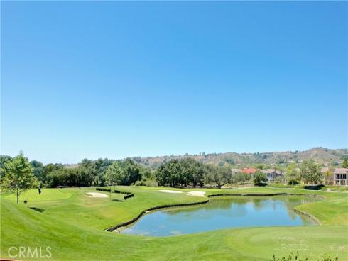 6 Coffeeberry Court, Coto de Caza, CA