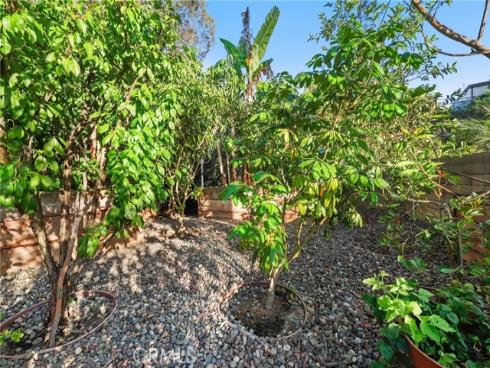 33262 Questa Way, Dana Point, CA
