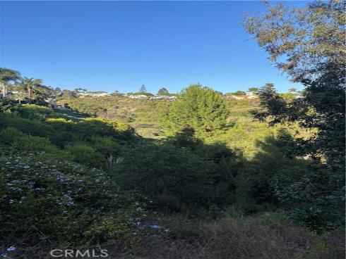 33146 Ocean 89 , Dana Point, CA