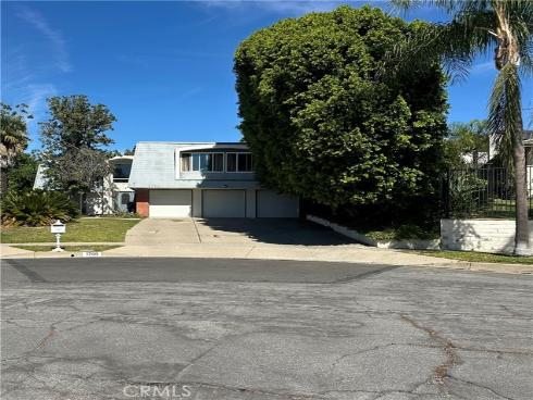 1709 Calavera