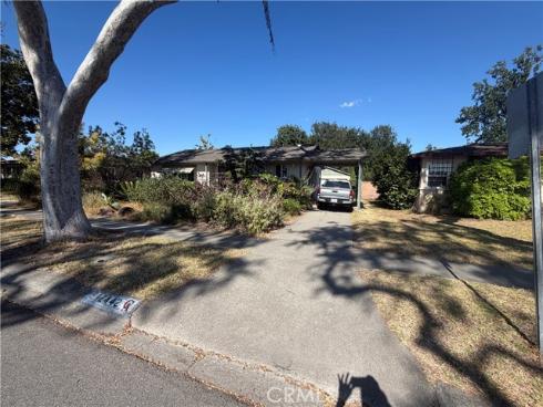 12442 Pine