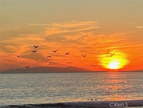 1200 Pacific Coast 426 , Huntington Beach, CA