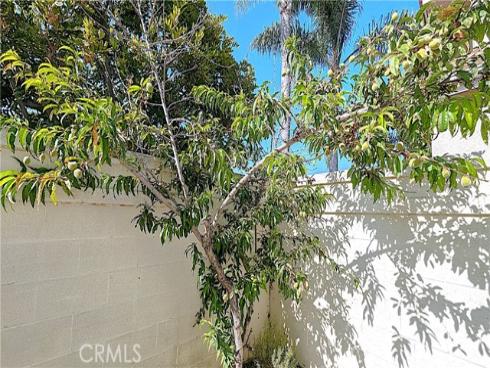 8204  Constantine   Drive, Huntington Beach, CA