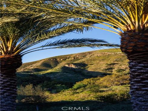 170 Leafy Pass , Irvine, CA