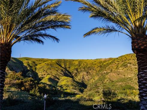 170 Leafy Pass , Irvine, CA