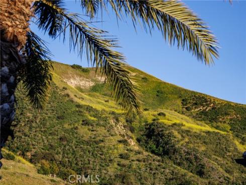 170 Leafy Pass , Irvine, CA