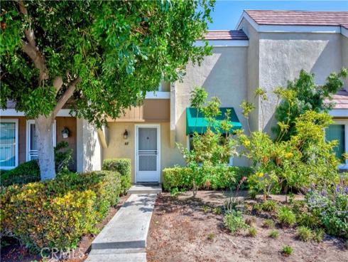49 Meadowgrass