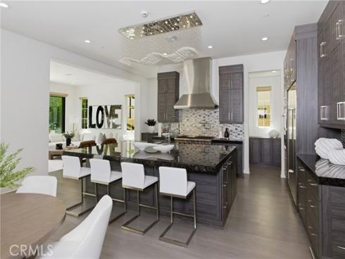 79 Eider Run , Irvine, CA