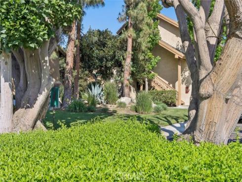 288 Tangelo , Irvine, CA