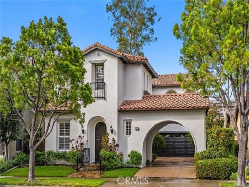 25 Carpenteria