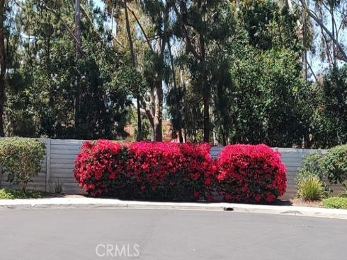36 Woodleaf , Irvine, CA
