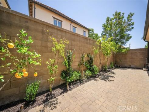 81 Cactus Flower , Irvine, CA