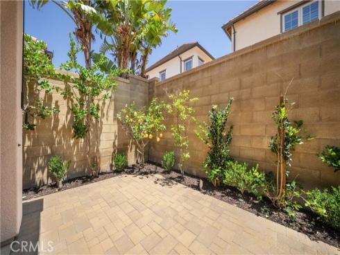 81 Cactus Flower , Irvine, CA
