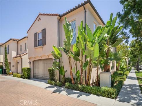 81 Cactus Flower , Irvine, CA