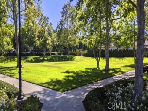 101  Tall Oak  , Irvine, CA