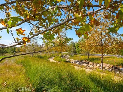 86 Mayfair , Irvine, CA