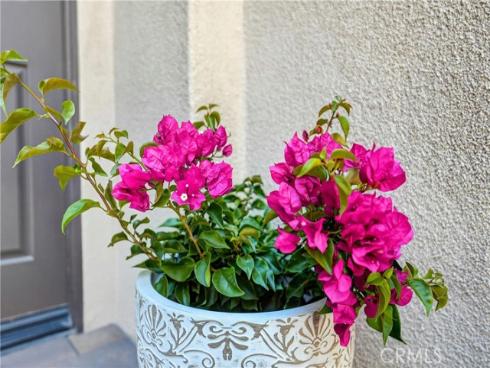 8 Castlebar , Irvine, CA