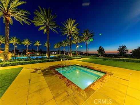 121 Trumpet Flower , Irvine, CA