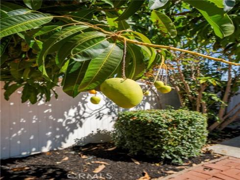 4462 Walnut , Irvine, CA