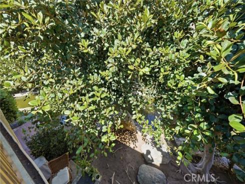 127 Lemon , Irvine, CA