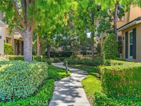 95 Canopy , Irvine, CA
