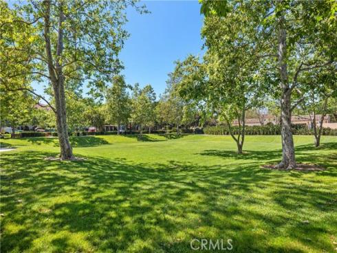95 Canopy , Irvine, CA