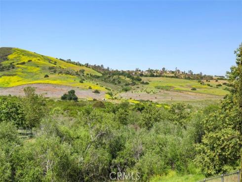 31 Black Hawk , Irvine, CA
