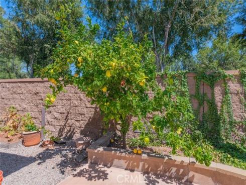 36 Trailing Ivy , Irvine, CA