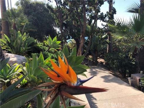31423 Coast 12 Highway, Laguna Beach, CA