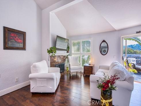 513 San Nicholas Court, Laguna Beach, CA