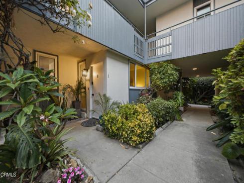 245 Aster Street 6