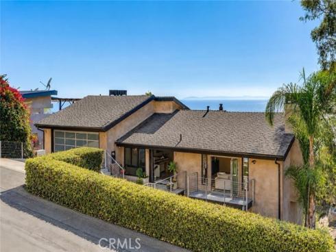 31321  Ceanothus  , Laguna Beach, CA