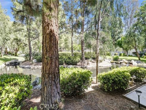 26701  Quail  147  Creek, Laguna Hills, CA