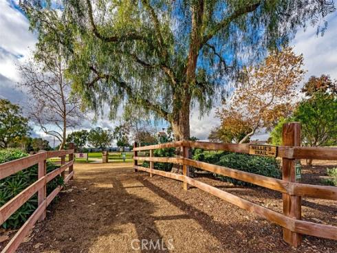 25111 Buckboard Lane, Laguna Hills, CA