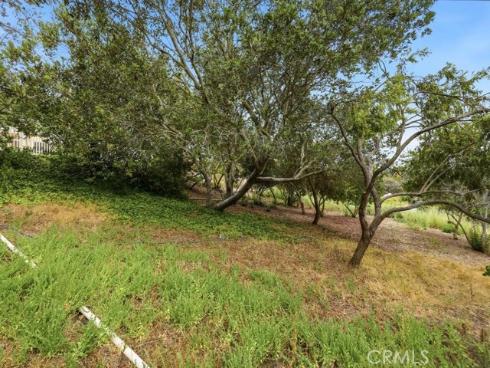 29352 Clipper Way, Laguna Niguel, CA