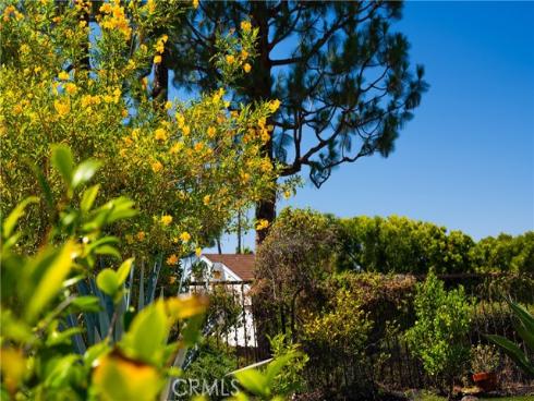 28461 La Falda , Laguna Niguel, CA
