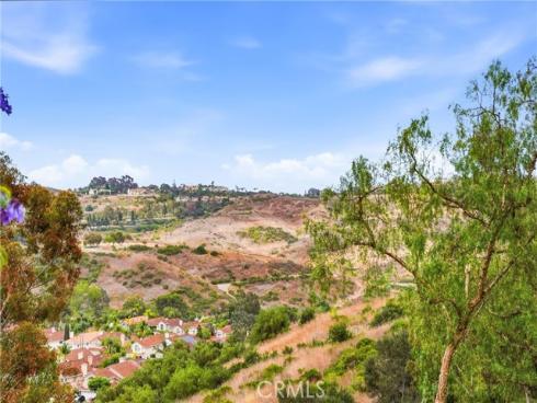 29 Fleurance Street, Laguna Niguel, CA
