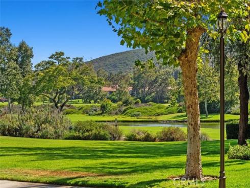31361 E Nine , Laguna Niguel, CA