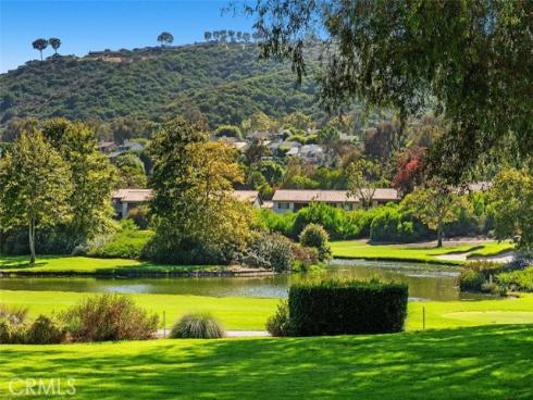 31361 E Nine , Laguna Niguel, CA