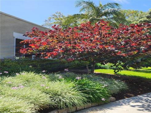 2006 Via Mariposa B , Laguna Woods, CA