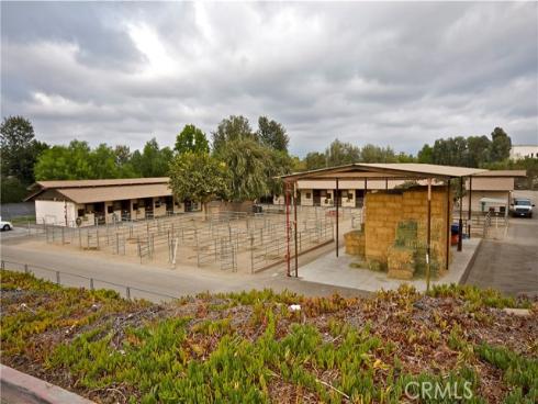 841  Ronda Sevilla  P , Laguna Woods, CA