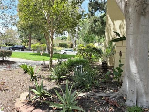 185  Avenida Majorca  D , Laguna Woods, CA